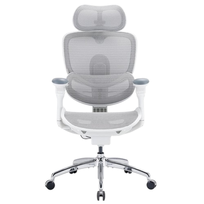 The Sihoo Doro C300 Pro V2: An ergonomic chair that adapts to the
