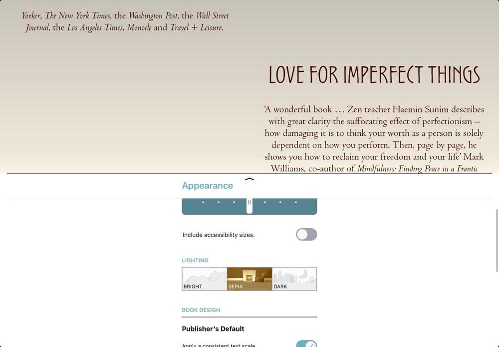 Libby's reader display settings offer light, sepia, and dark modes