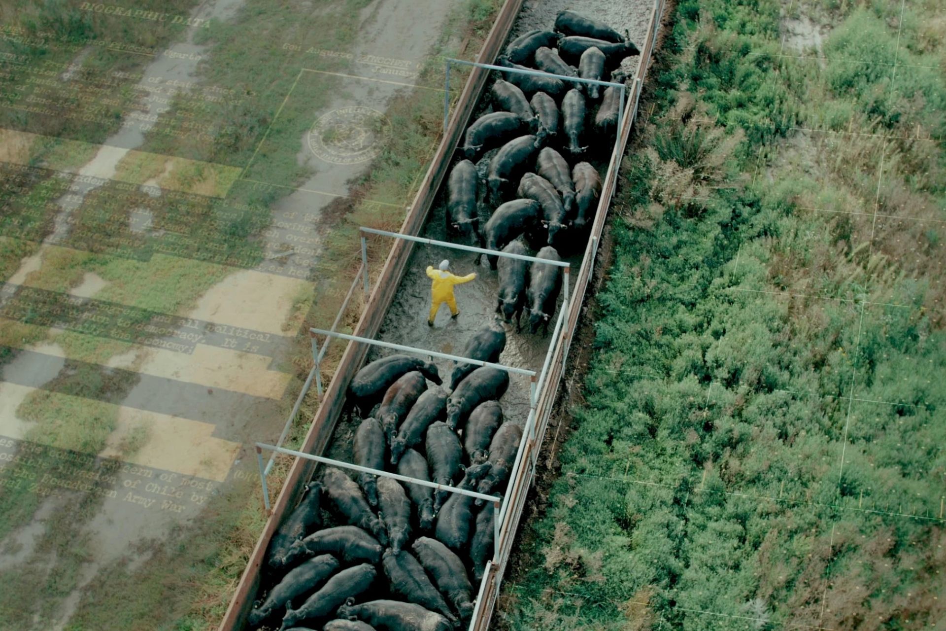 How to Understand the Global Food and Land Crisis: A Step-by-Step Guide Inspired by 'The Grab'