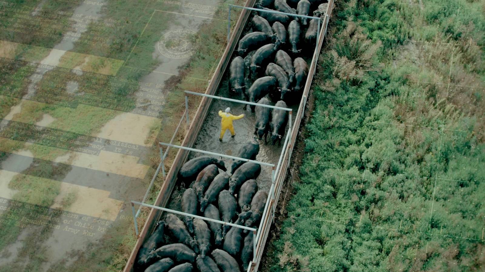 How to Understand the Global Food and Land Crisis: A Step-by-Step Guide Inspired by 'The Grab'
