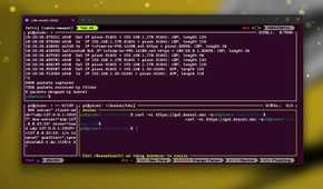 Zellij with multiple tabs running network monitoring and a curl command simultaneously