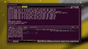 Zellij with multiple tabs running network monitoring and a curl command simultaneously