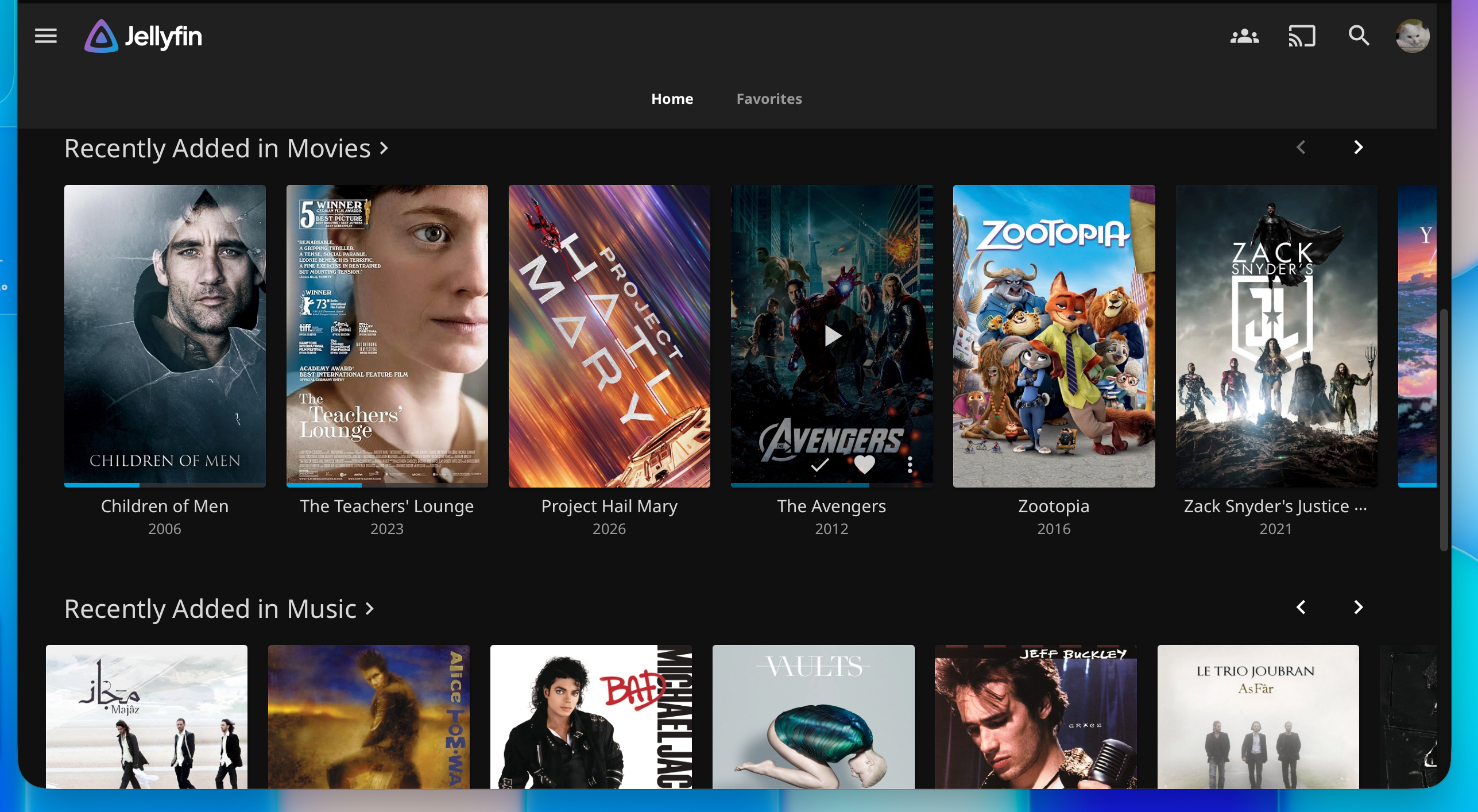 A Jellyfin media server library showing some movies