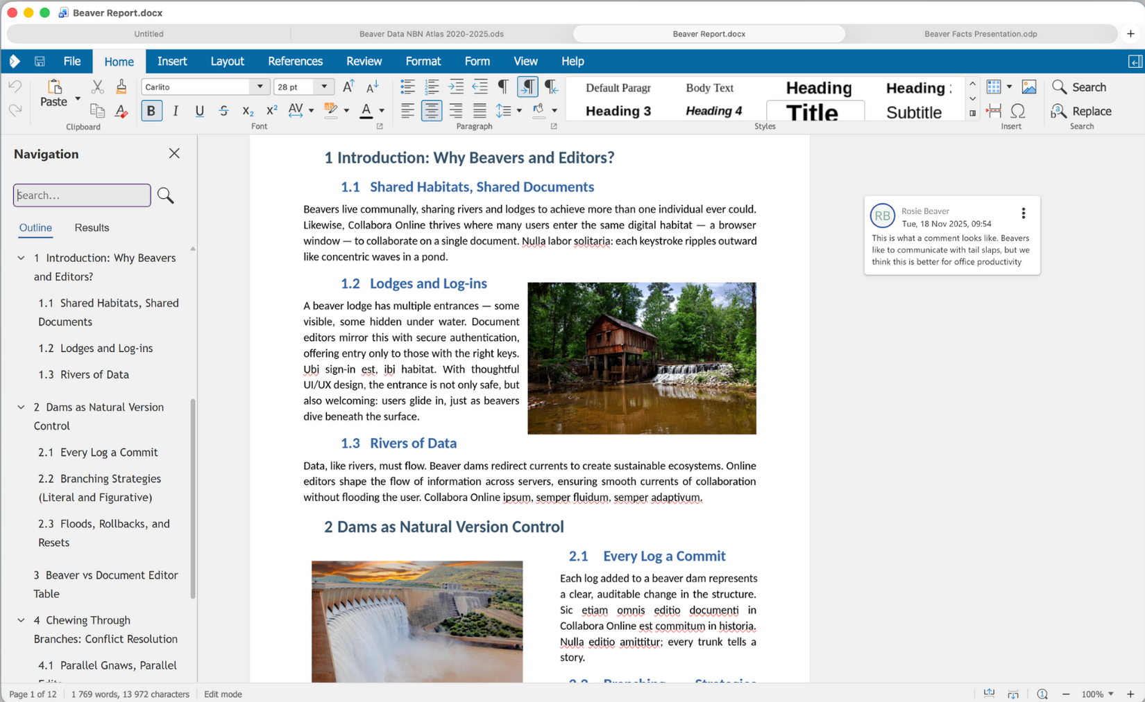 Collabora Online writer document on macOS.