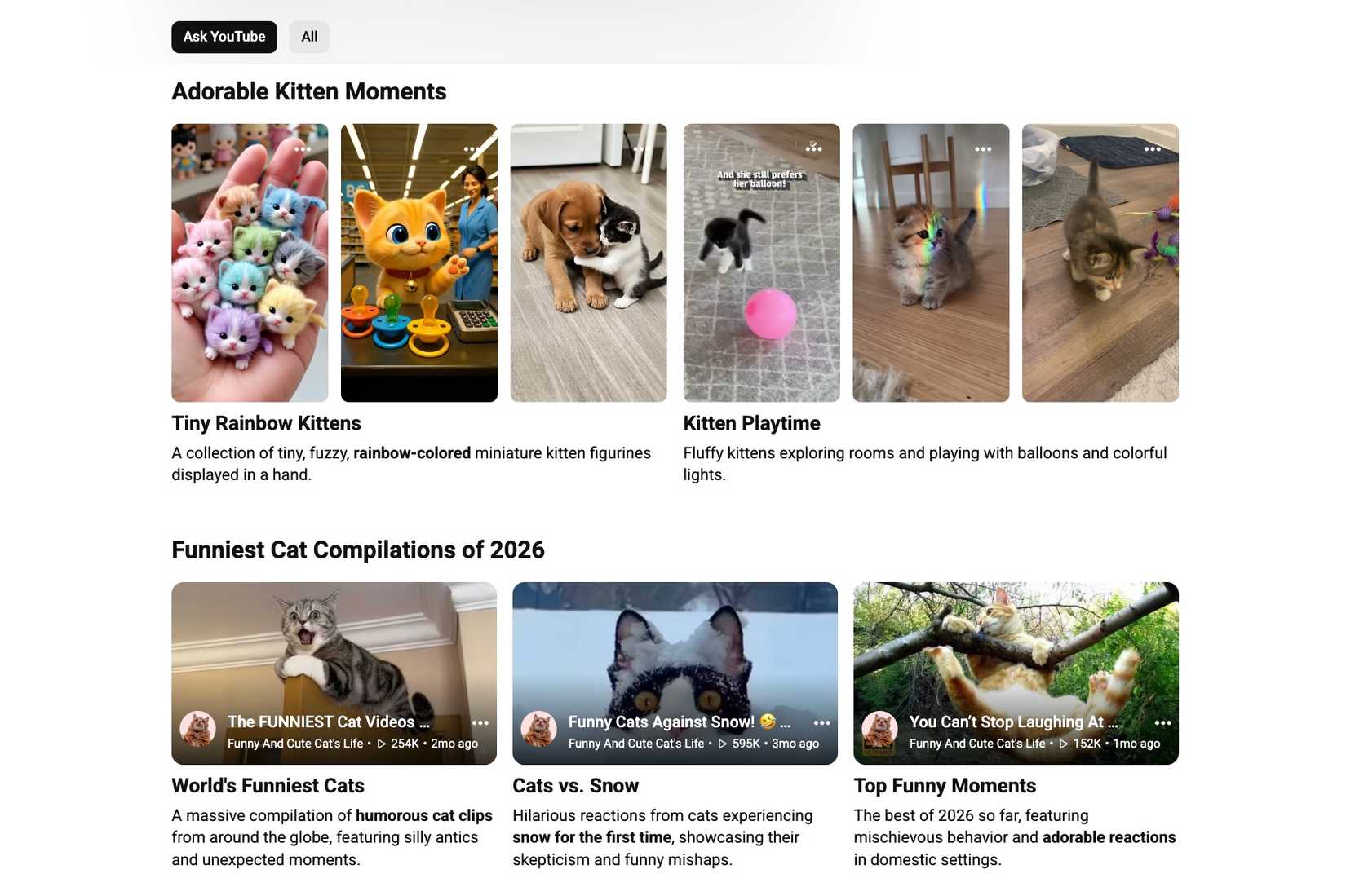 cute cats on YouTube