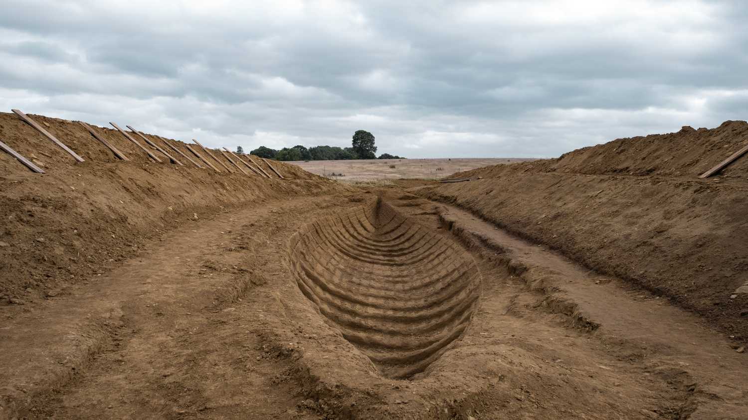The Dig