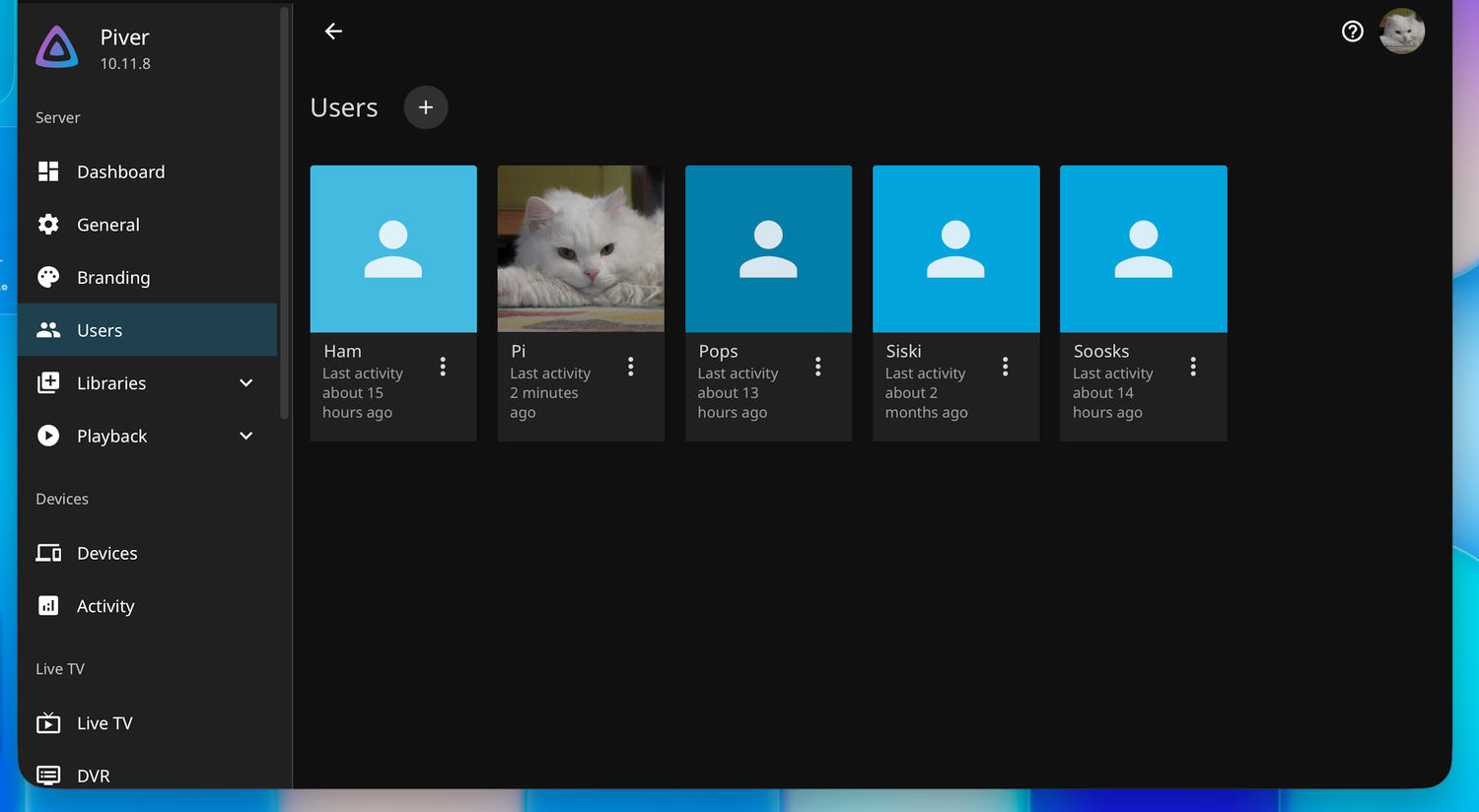 Jellyfin admin panel showing the user accounts