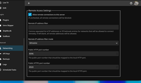 Jellyfin networking settings showing the remote connection option