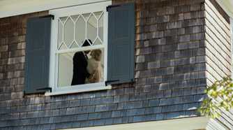 The Watcher