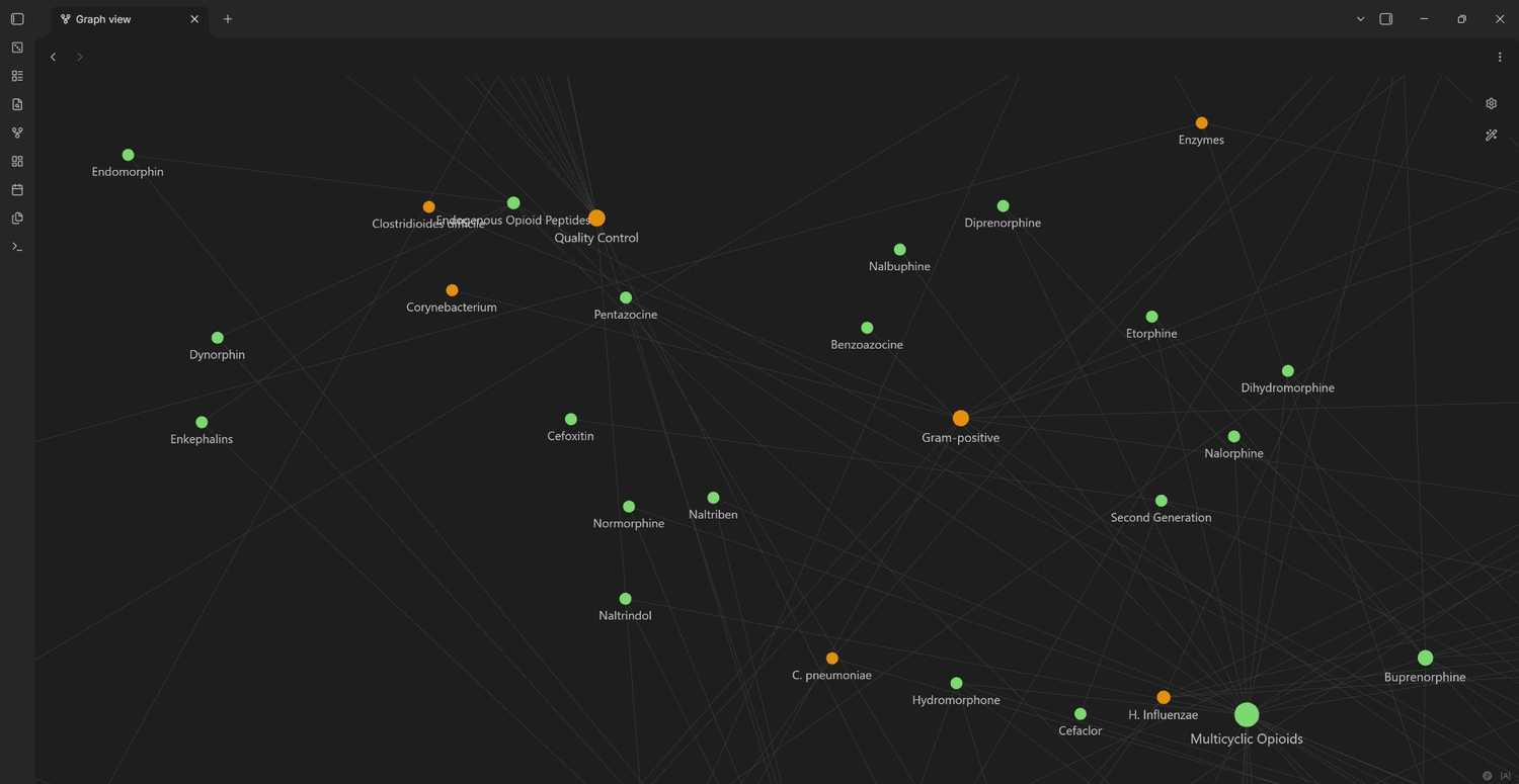 A close up of a graph view in Obsidian