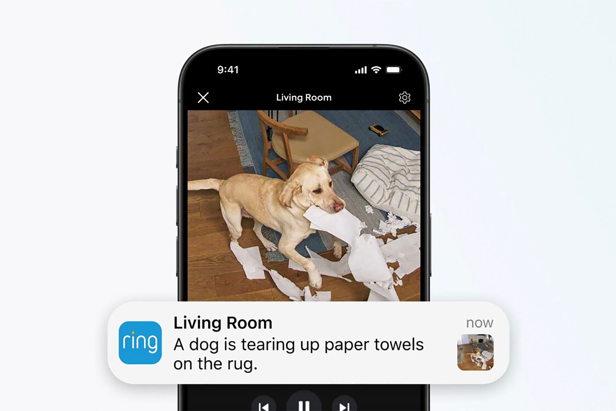 A phone showing a Ring notification and image of a dog tearing up paper towels