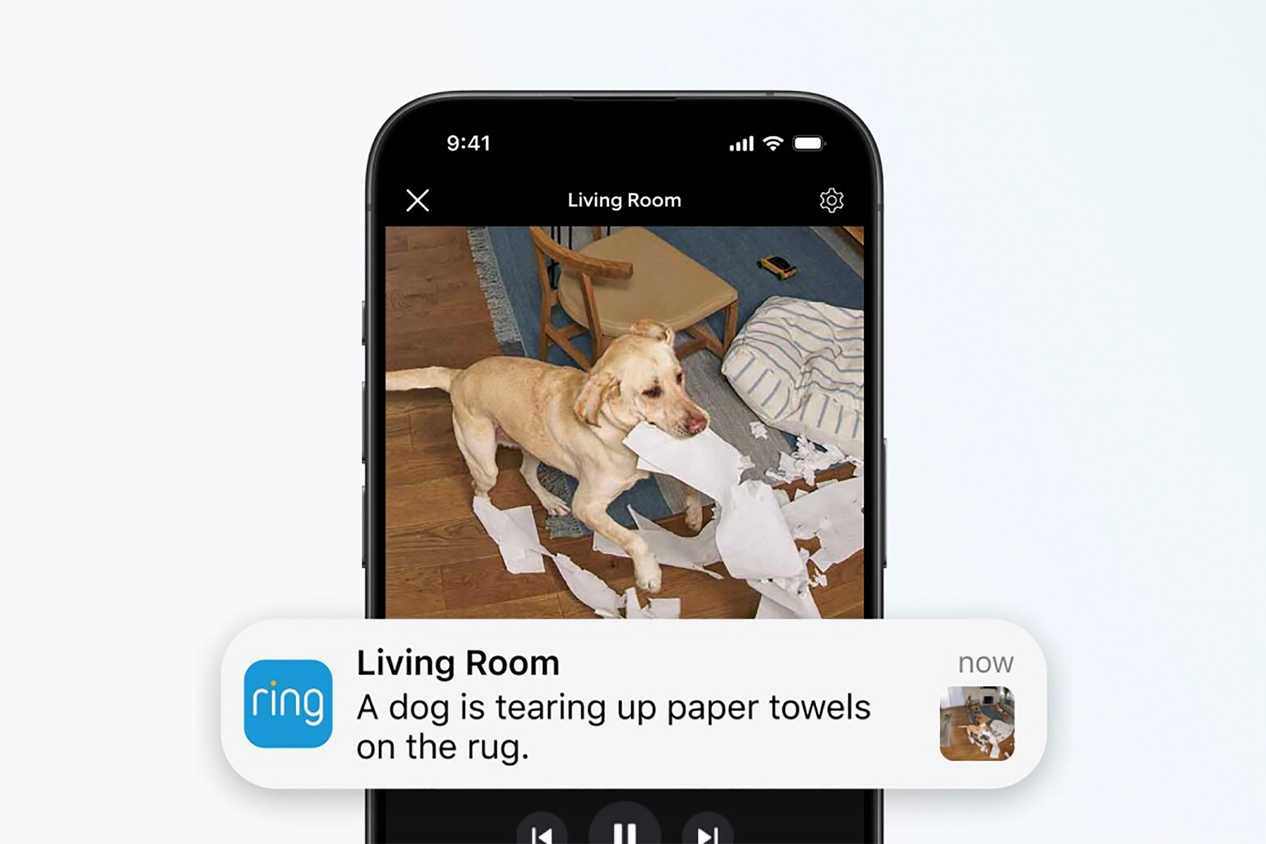 A phone showing a Ring notification and image of a dog tearing up paper towels