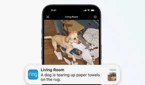 A phone showing a Ring notification and image of a dog tearing up paper towels