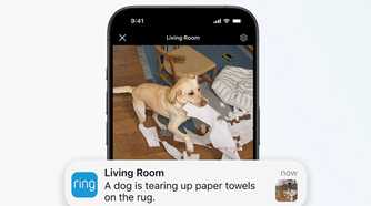 A phone showing a Ring notification and image of a dog tearing up paper towels