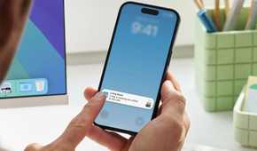 A finger touching a phone showing a Ring notification about a dog chewing furniture.
