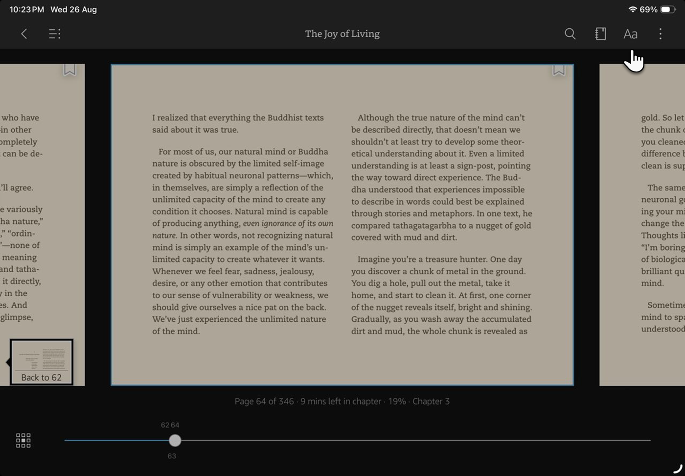 Aa icon highlighted in the Kindle app's top reading toolbar on iPad