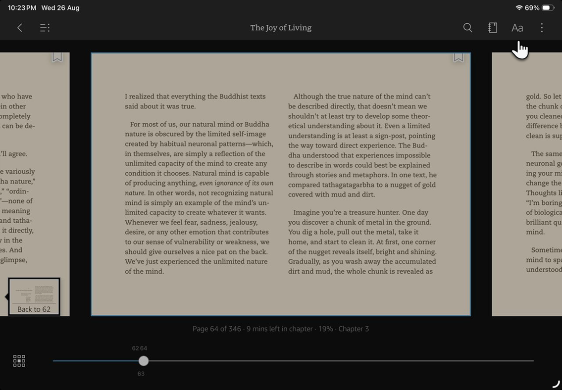Aa icon highlighted in the Kindle app's top reading toolbar on iPad