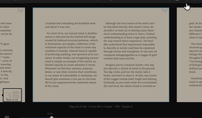 Aa icon highlighted in the Kindle app's top reading toolbar on iPad