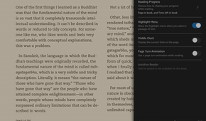 Kindle app Aa menu open, showing the More tab option.