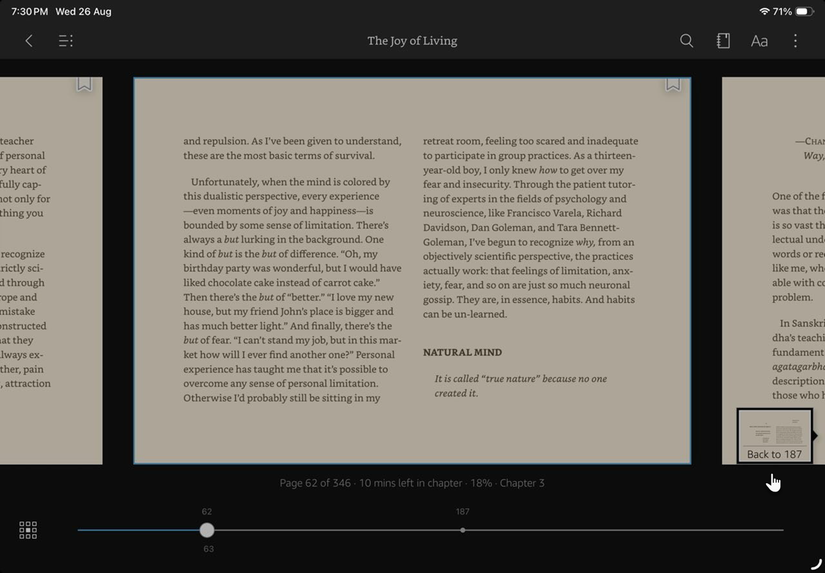 Page Flip thumbnail preview in the Kindle app for browsing pages.