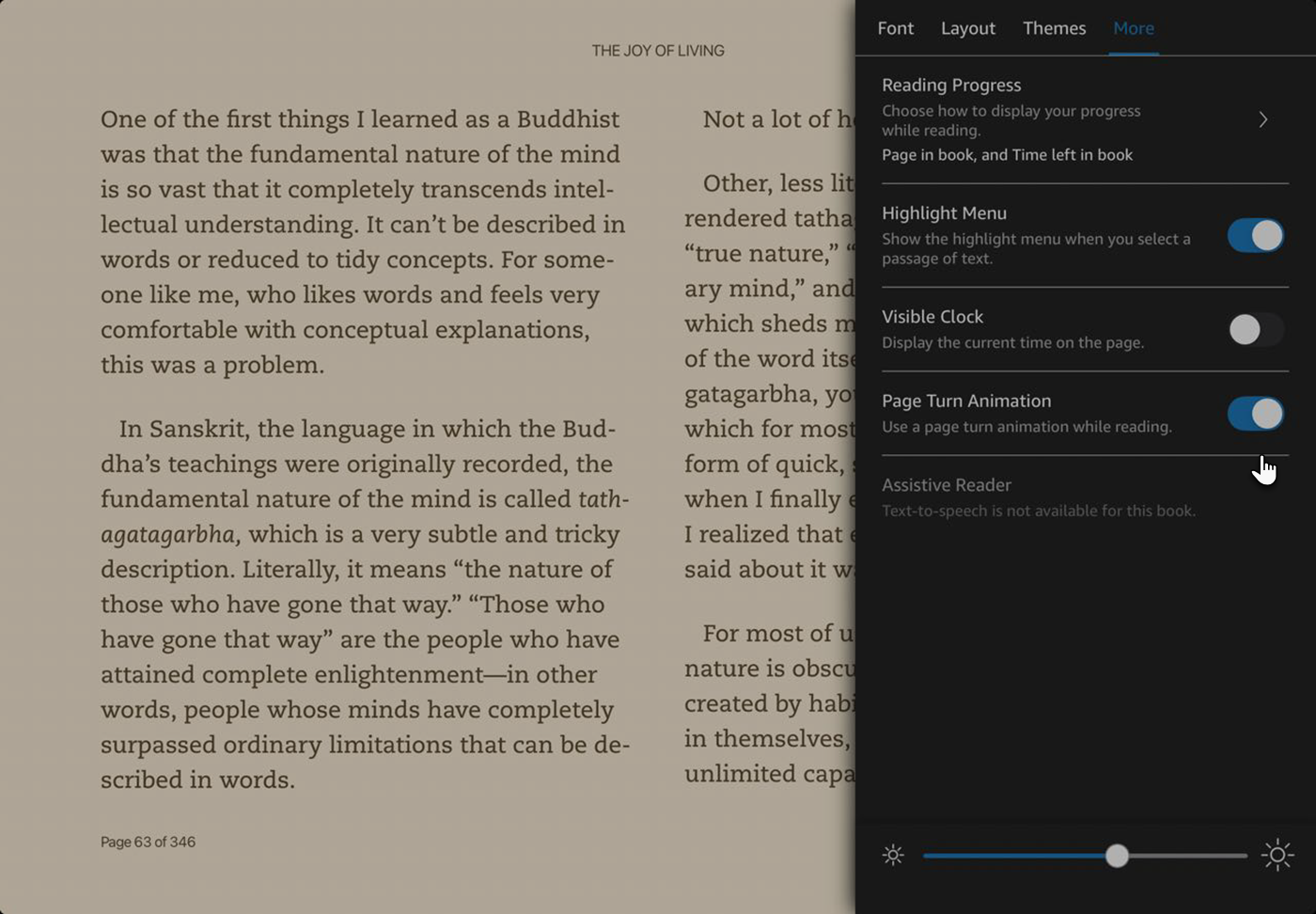 Page Turn Animation toggle switched on in Kindle app settings.