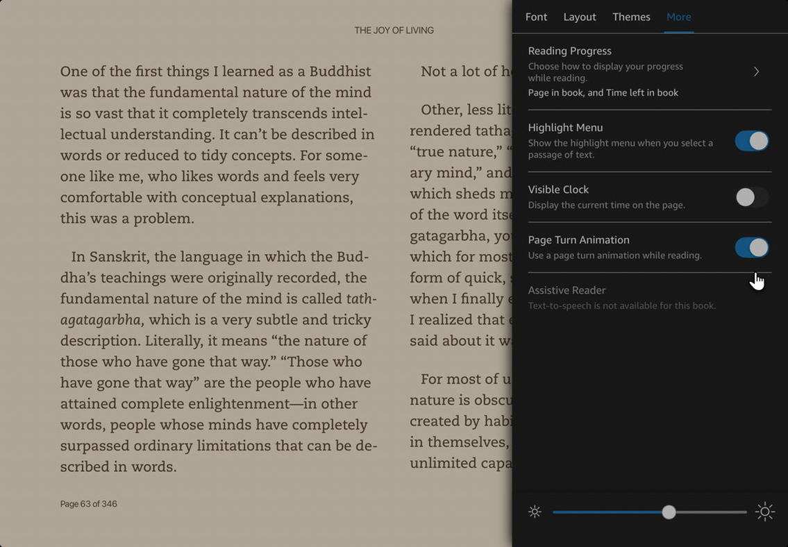 Page Turn Animation toggle switched on in Kindle app settings.