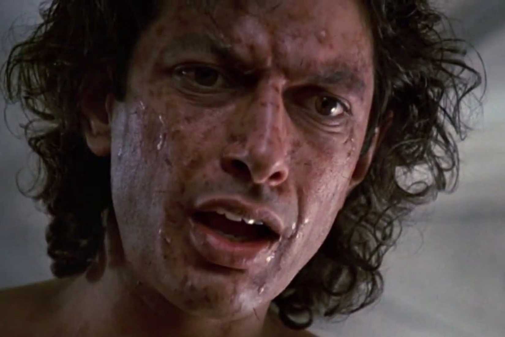 The Fly