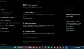 Windows Device security
