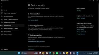 Windows Device security