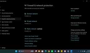 Windows Firewall and network protection