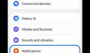 Samsung settings menu with the Notifications option highlighted