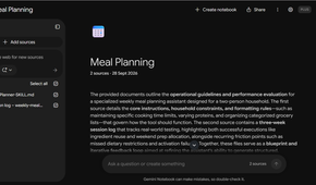 NotebookLM Sources panel with the Skill file and meal log both selected.
