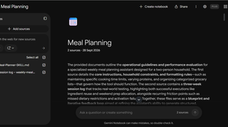 NotebookLM Sources panel with the Skill file and meal log both selected.