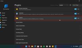 Plugin section in Flow Launcher Settting