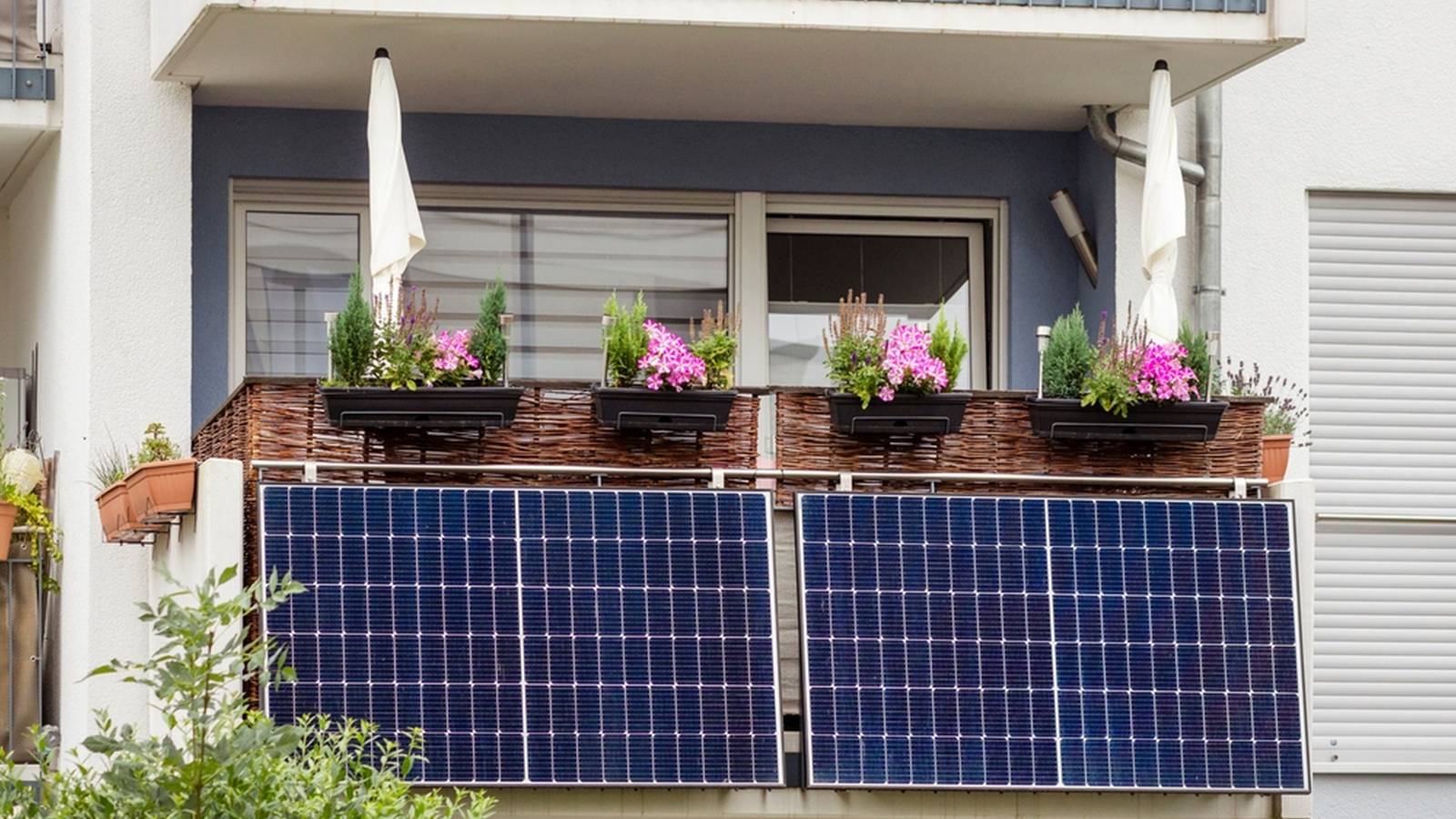 I found 4 places to install solar panels that aren’t the roof