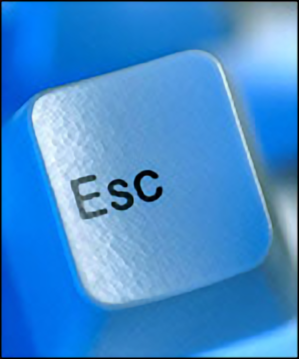User Display Picture