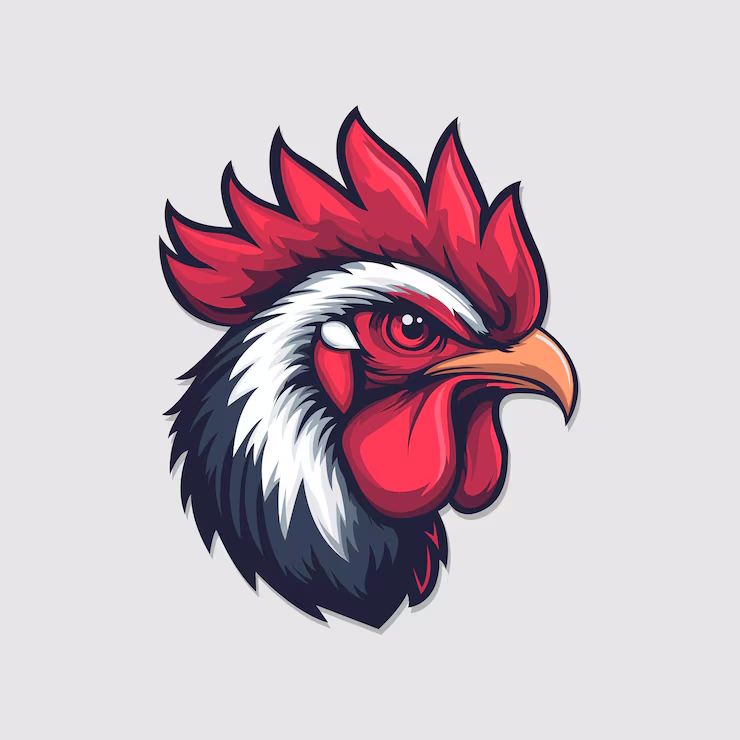 User Display Picture