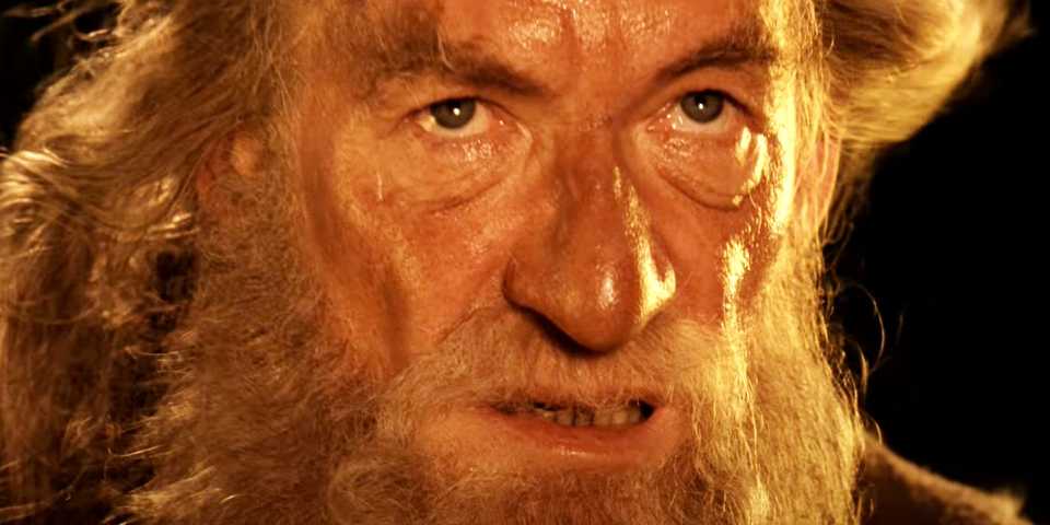 ian-mckellen-as-gandalf-facing-the-balrog-in-the-lord-of-the-rings.jpg