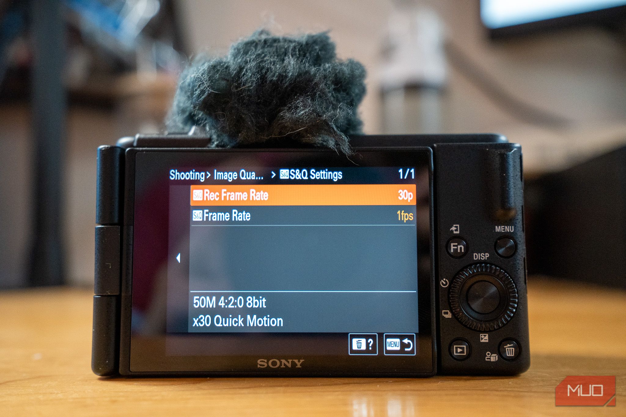 Sony ZV-1F: Simple and Easy  or Too Limited?