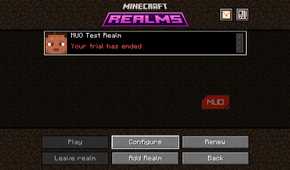 Configure button Minecraft Realms Java Edition