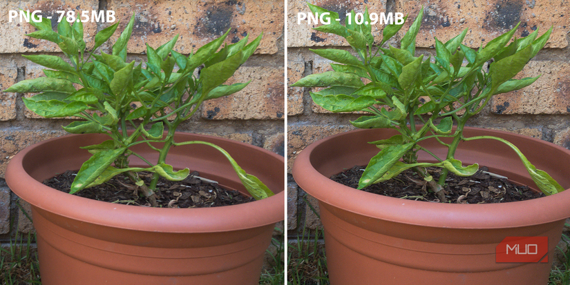 PNG High-Quality vs. Low-Quality