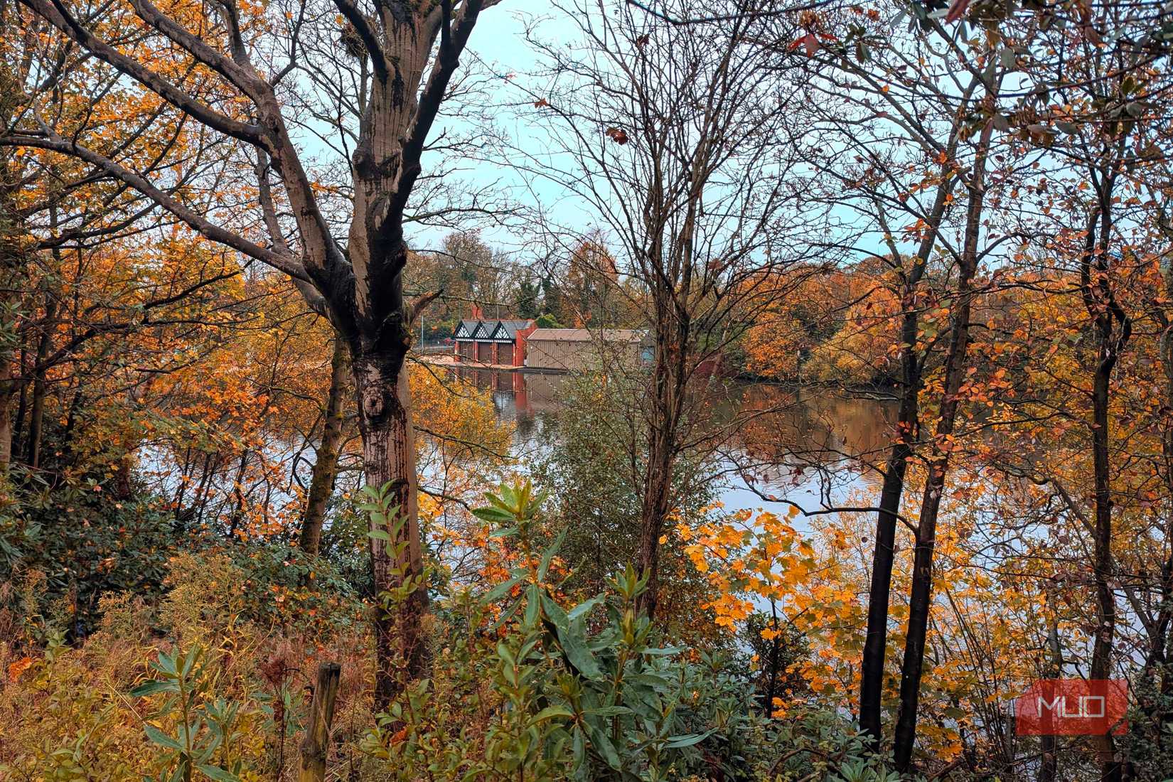 7 Smartphone Photography Tips for Shooting in the Fall