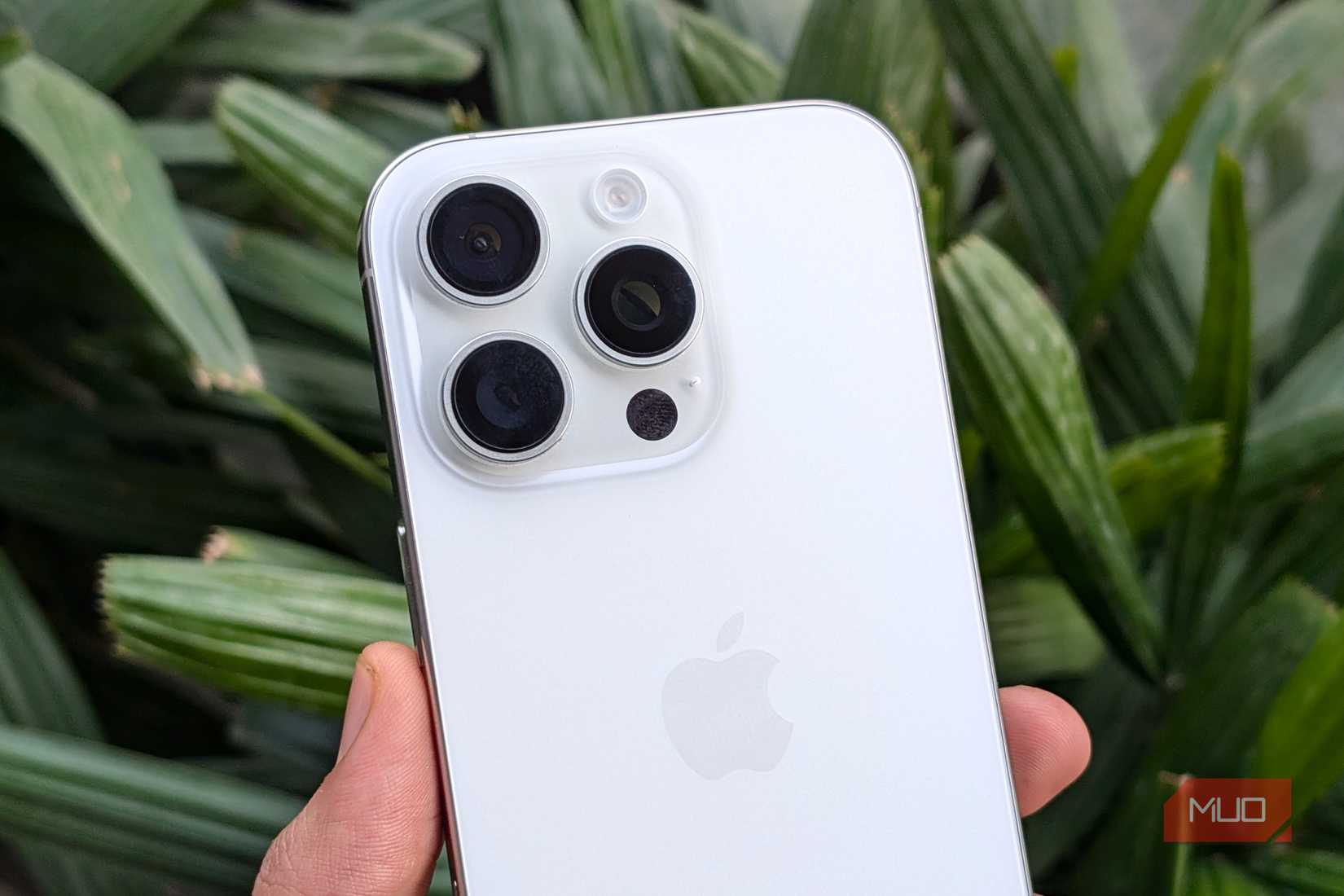 White iPhone 16 Pro in hand in front of green plants