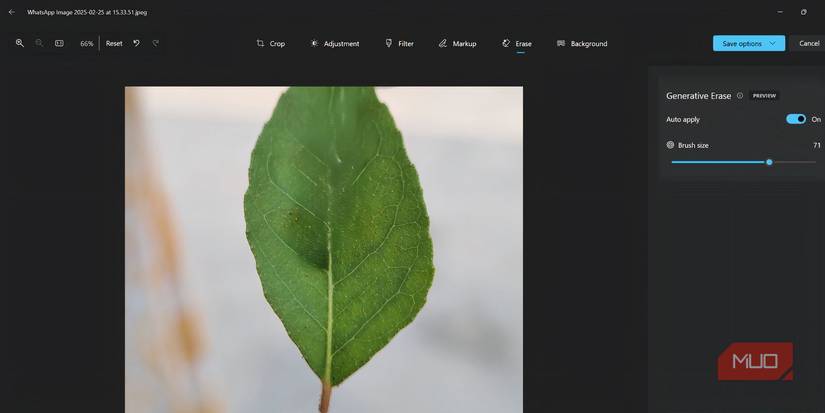 How to Use Generative Erase in Microsoft Photos