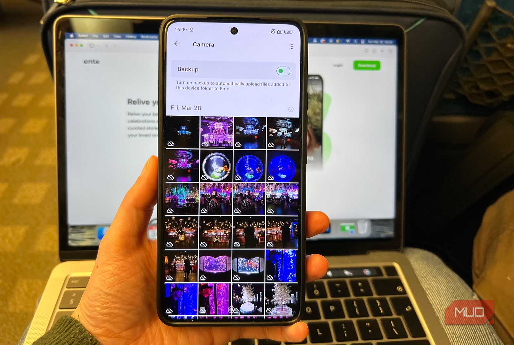Ente Photos Library Ready to Back Up