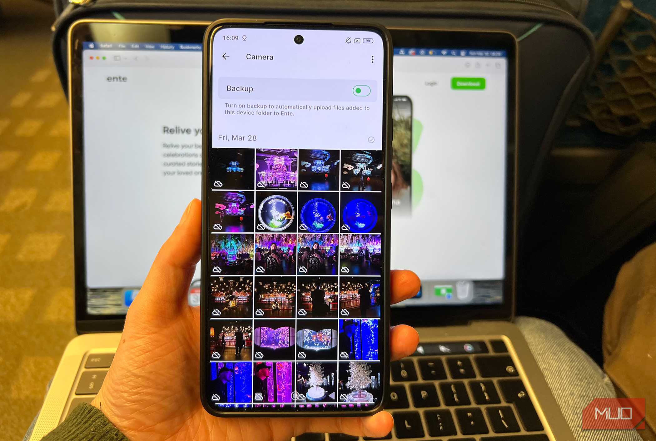 Ente Photos Library Ready to Back Up