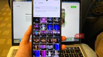 Ente Photos Library Ready to Back Up