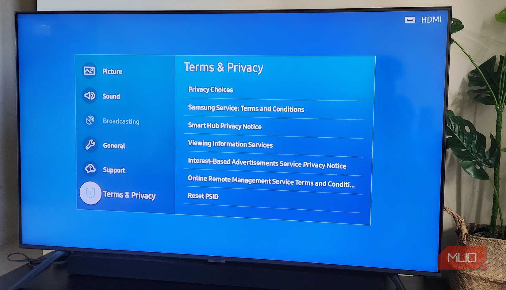 The privacy settings on a Samsung smart TV.