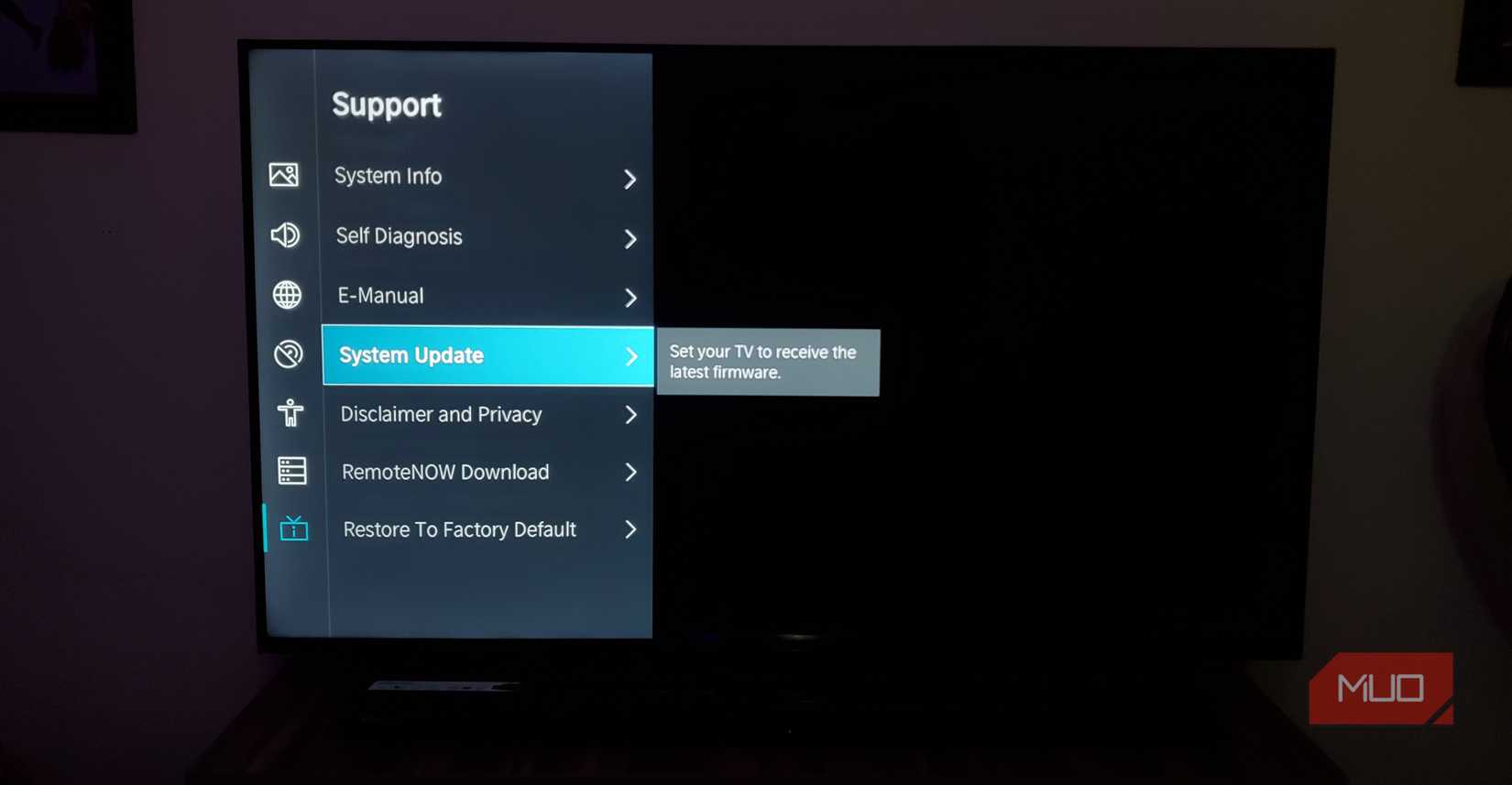 A smart TV showing the option for System Update.