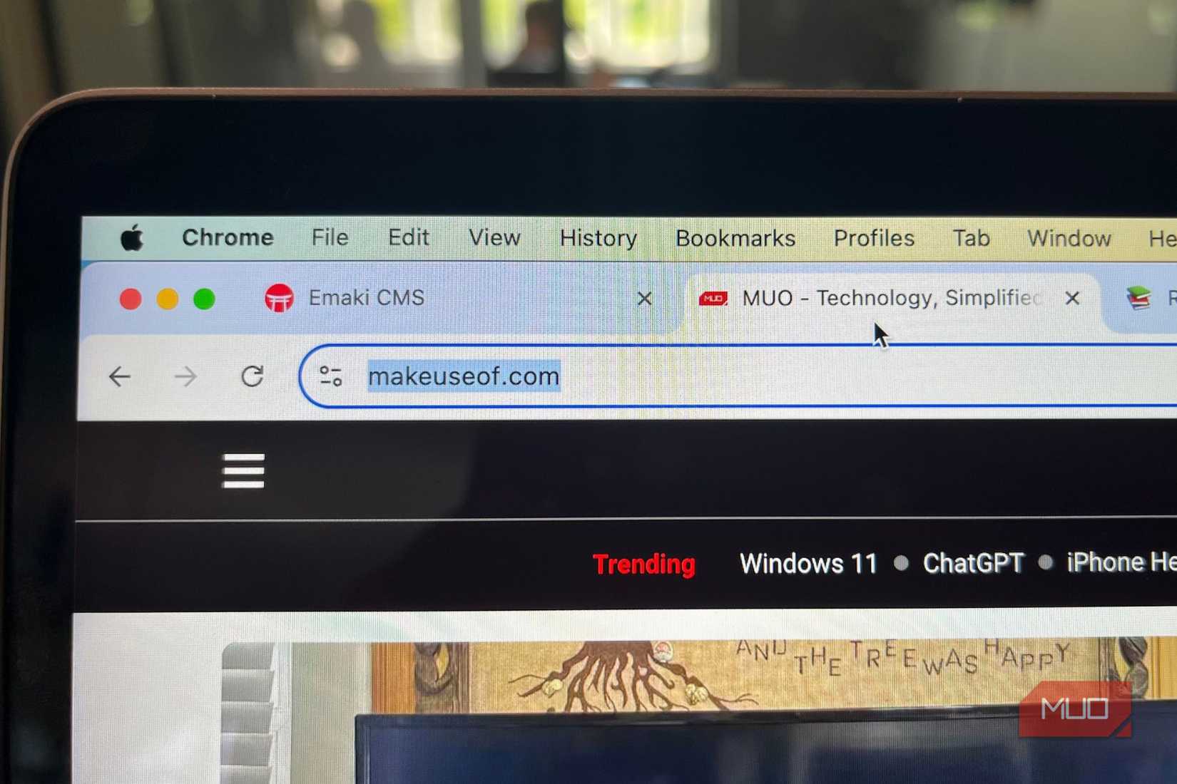 Tabs in Google Chrome Browser
